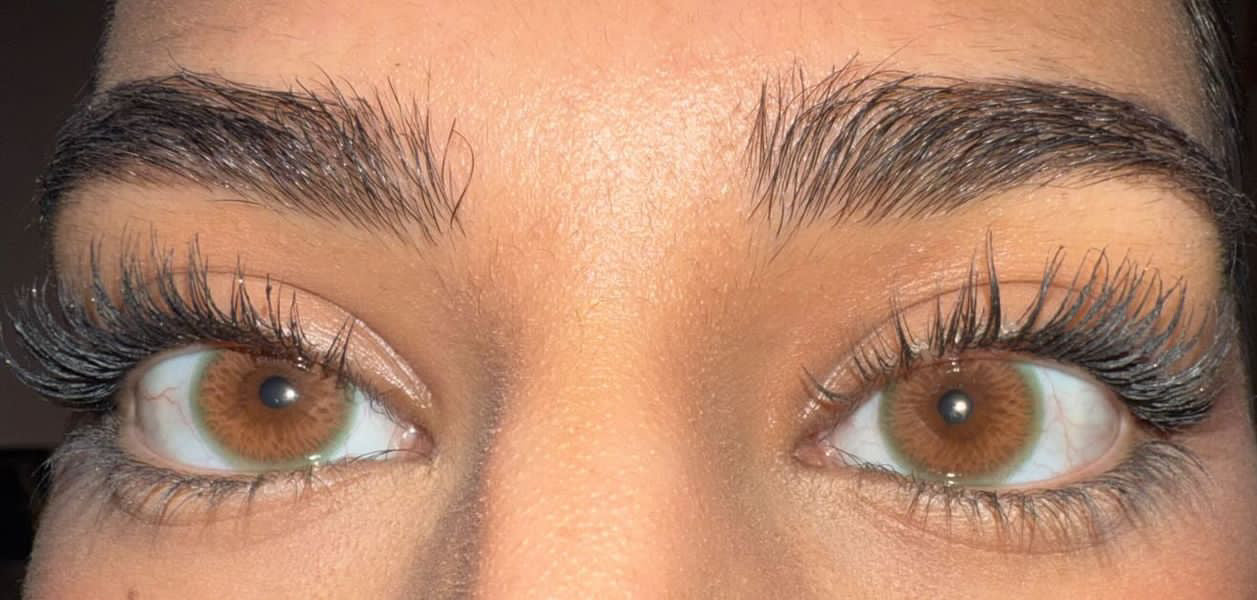 Everyday | Haselnuss