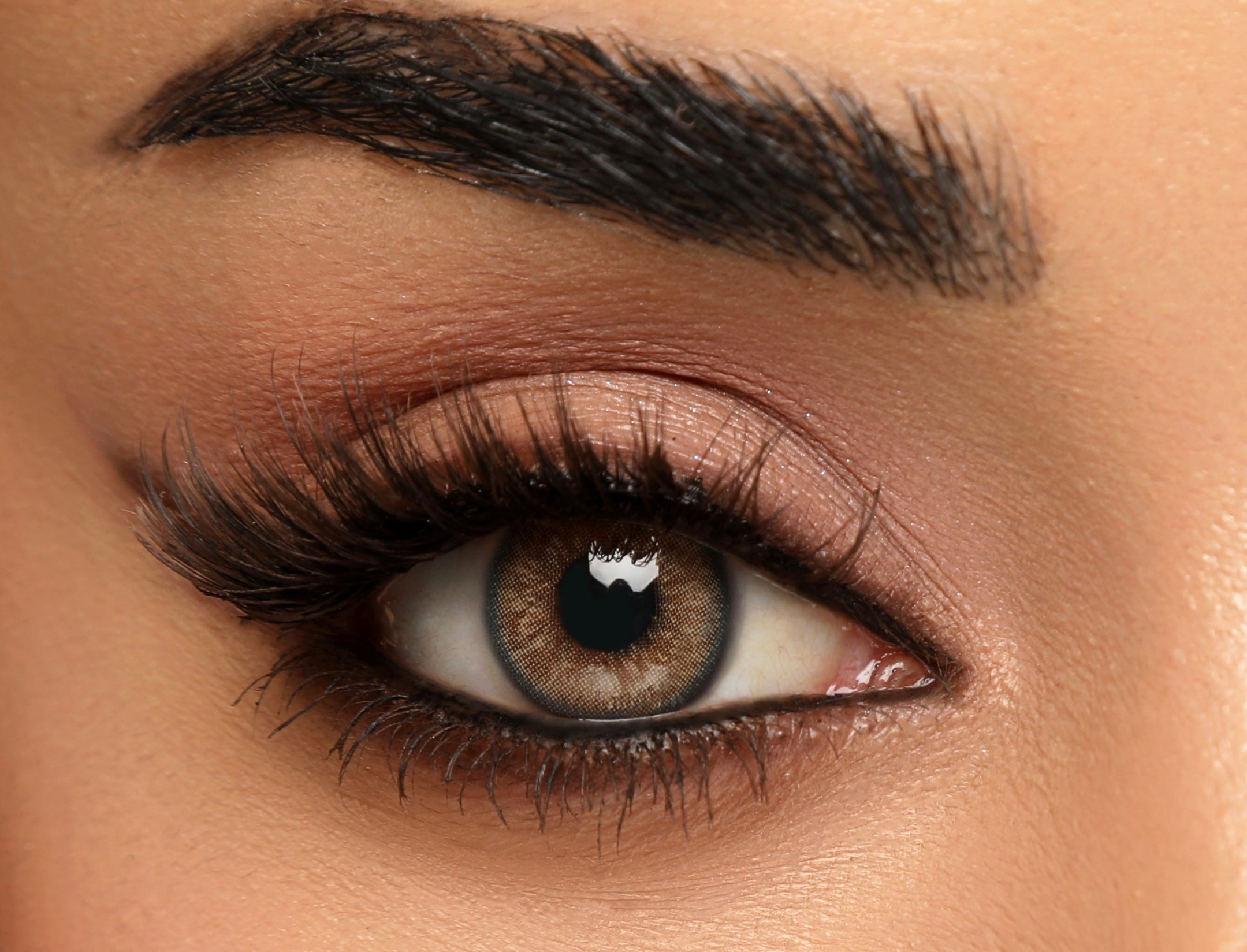 RANI M | ANNUAL LENSES