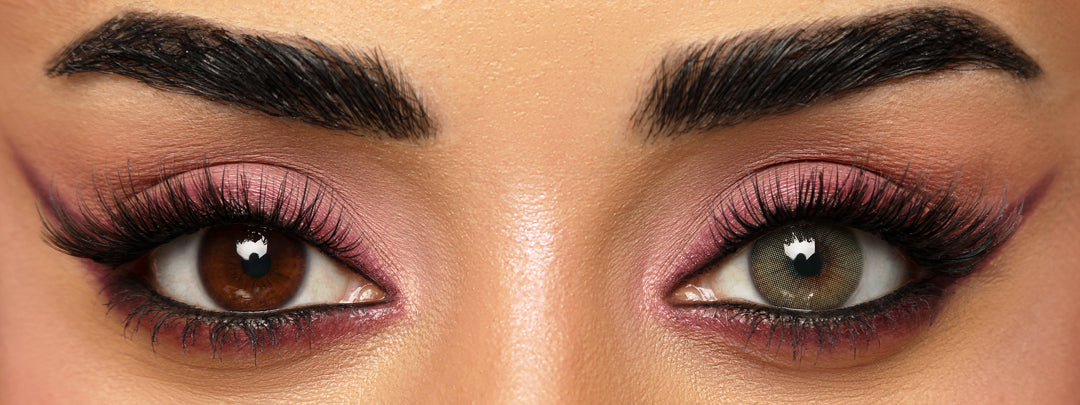 RAPUNZEL DARK | LENSES