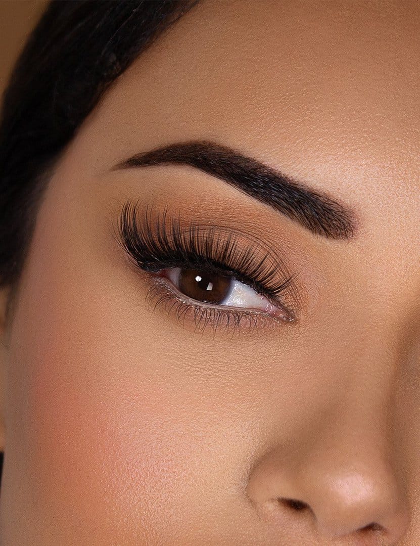 Hollywood 5D01 | Lashes