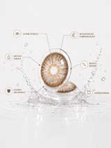 CARAMEL | Braun