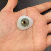 LUCKY GREEN | LENSES