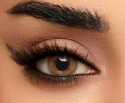 LATINA | LENSES