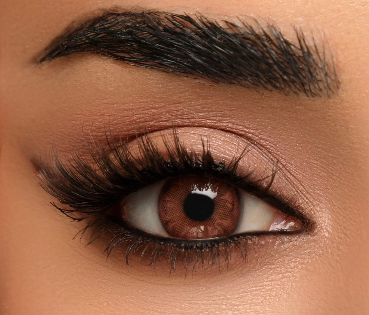 Pocahontas | LENSES