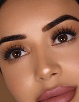Hollywood 3D10 | Lashes