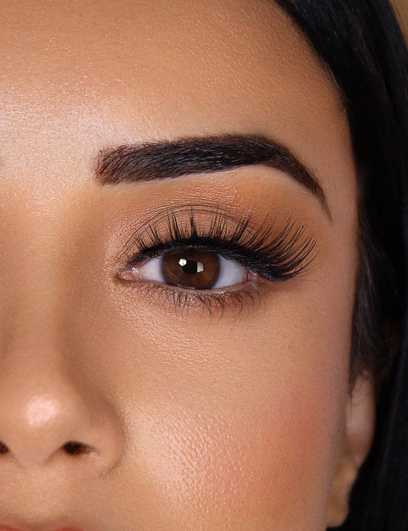 Hollywood 3D33 | Lashes