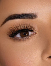 Hollywood 3D45 | Lashes