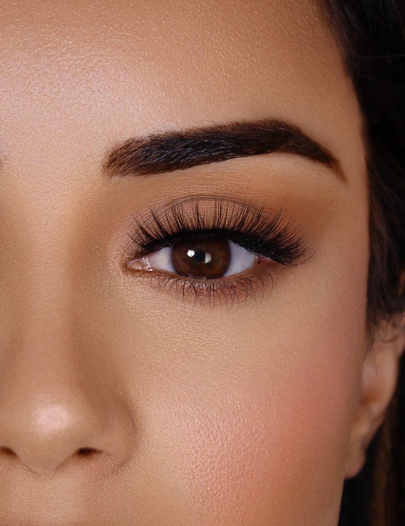 Hollywood 5D18 | Lashes