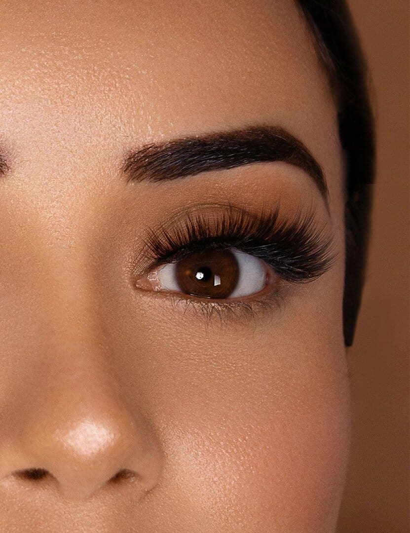 Hollywood 5D39 | Lashes